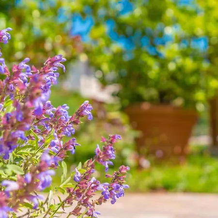 Marinko 아파트 Barban